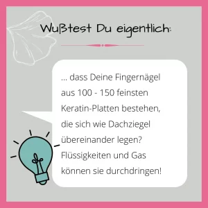 Nagelwissen Keratinschichten