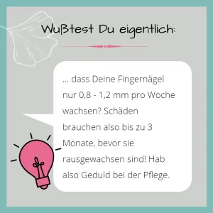 Nagelwissen Nagelwachstum